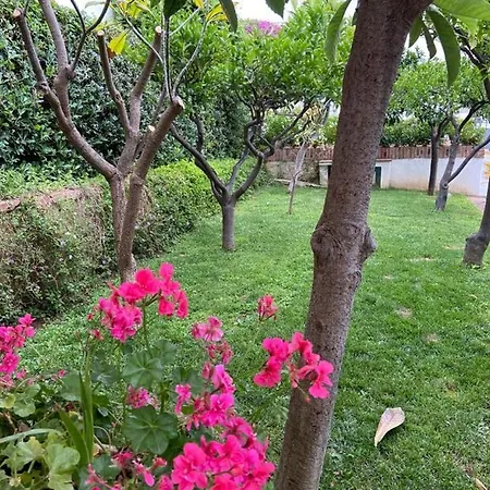 A Casa Di Emily